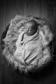 Newborn-AnitaPhotoCreative-17