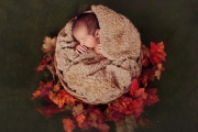 Newborn-AnitaPhotoCreative-8
